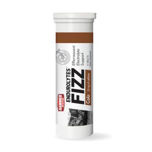 ENDUROLYTES FIZZ®